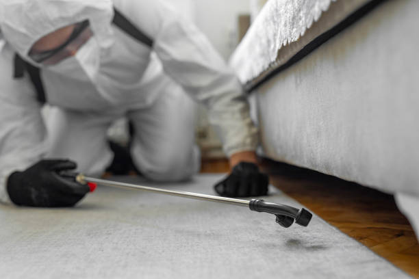 Professional Pest Control technician working in Bronx County County, NY
